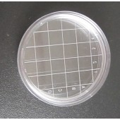 55mm培養皿表面微生物接觸碟 表面皿 接觸皿