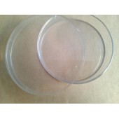做抗生素效價(jià)測(cè)定用培養(yǎng)皿 效價(jià)碟子