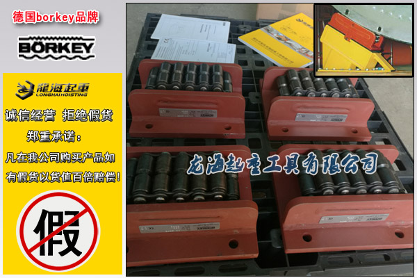 德國(guó)AM系列載重搬運(yùn)車圖片